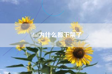 dnf为什么都下架了