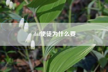 dnf使徒为什么要