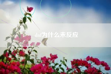 dnf为什么未反应