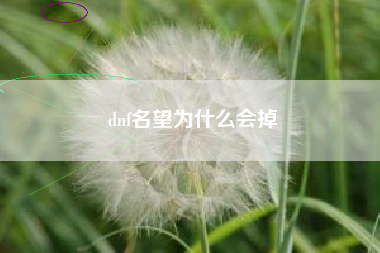 dnf名望为什么会掉