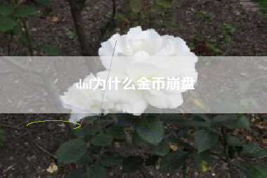 dnf为什么金币崩盘