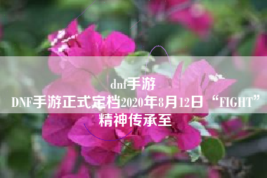 dnf手游 
DNF手游正式定档2020年8月12日“FIGHT”精神传承至