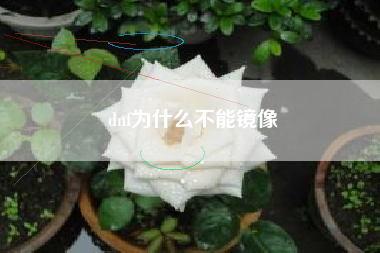 dnf为什么不能镜像