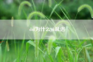 dnf为什么pk延迟