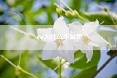dnf为什么不减负