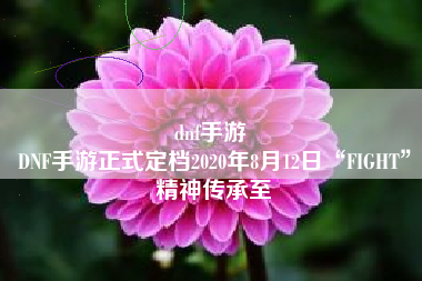 dnf手游 
DNF手游正式定档2020年8月12日“FIGHT”精神传承至