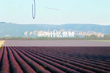 dnf为什么低帧