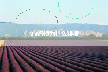 dnf鸡翅为什么跳槽