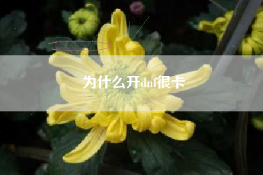 为什么开dnf很卡