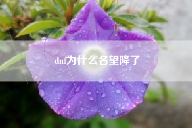 dnf为什么名望降了