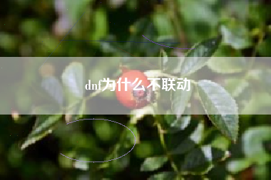 dnf为什么不联动
