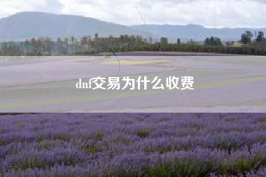 dnf交易为什么收费