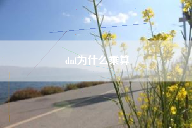 dnf为什么乘算