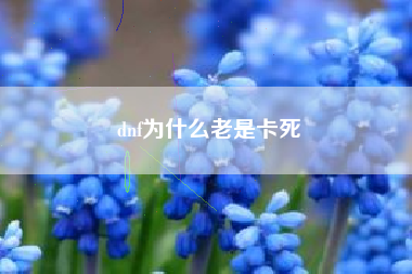 dnf为什么老是卡死