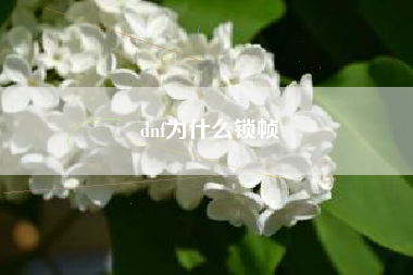 dnf为什么锁帧