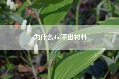 为什么dnf不出材料