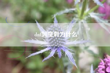 dnf剑魔刺为什么