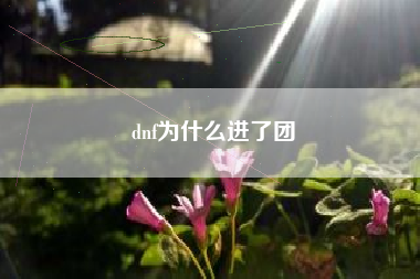 dnf为什么进了团