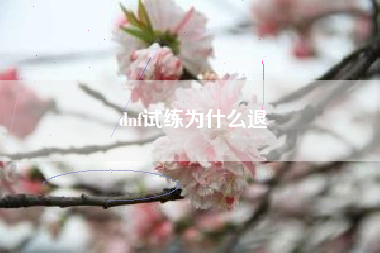 dnf试练为什么退