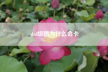 dnf组团为什么会卡