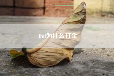 Dnf为什么打金