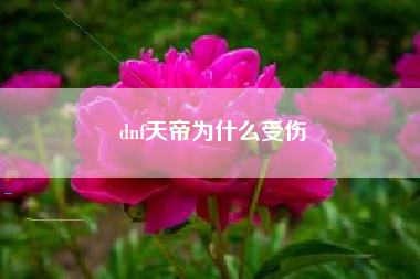 dnf天帝为什么受伤