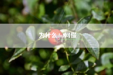 为什么dnf网慢