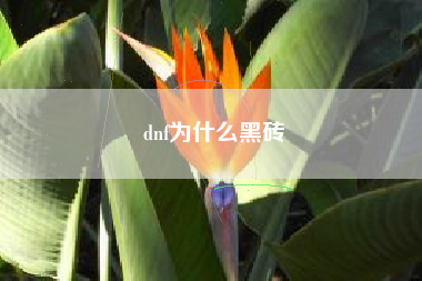 dnf为什么黑砖