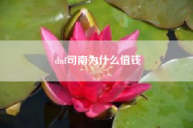 dnf司南为什么值钱