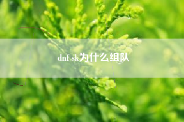 dnf sk为什么组队