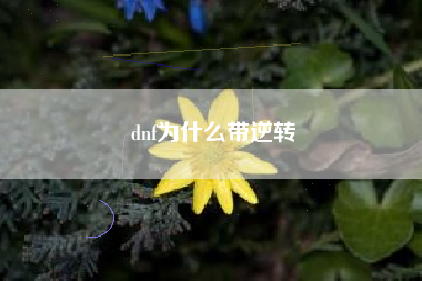 dnf为什么带逆转