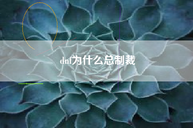 dnf为什么总制裁