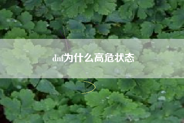 dnf为什么高危状态