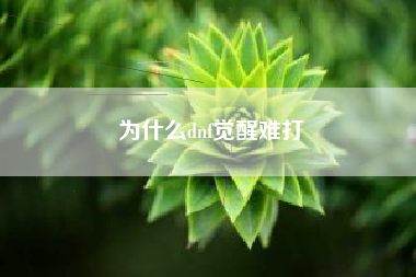 为什么dnf觉醒难打