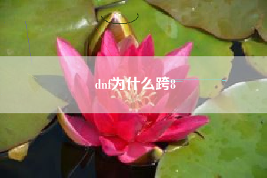 dnf为什么跨8