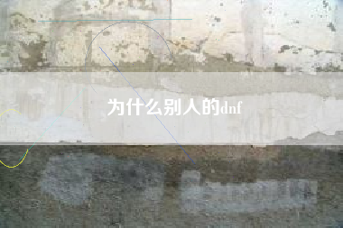 为什么别人的dnf