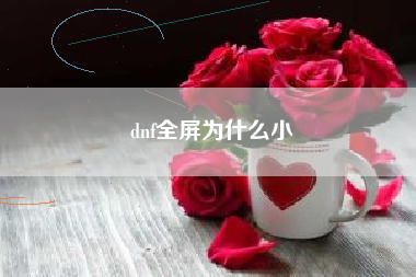 dnf全屏为什么小