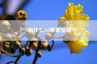 为什么dnf屏幕模糊