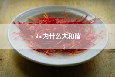 dnf为什么大和谐