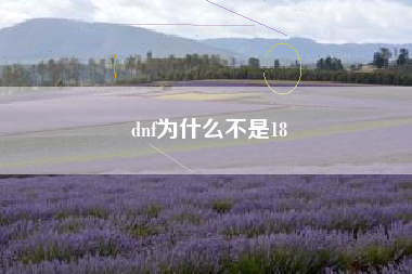 dnf为什么不是18