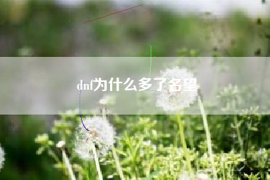 dnf为什么多了名望