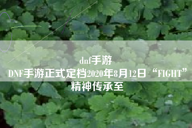 dnf手游 
DNF手游正式定档2020年8月12日“FIGHT”精神传承至