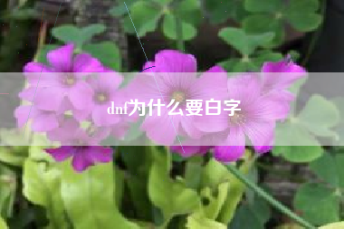 dnf为什么要白字