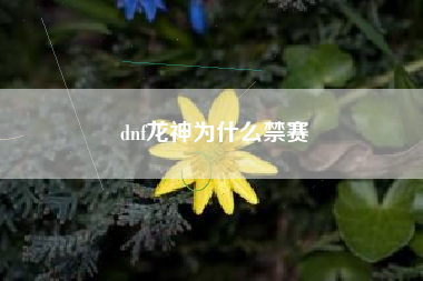 dnf龙神为什么禁赛