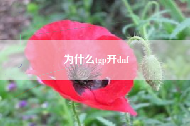 为什么tgp开dnf