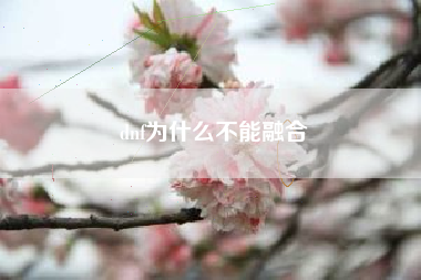 dnf为什么不能融合