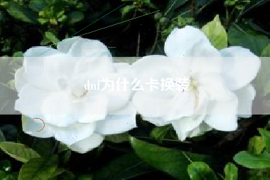 dnf为什么卡换装
