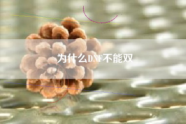 为什么DNF不能双