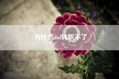 为什么dnf转职不了
