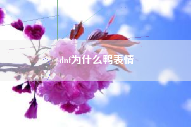 dnf为什么鸭表情